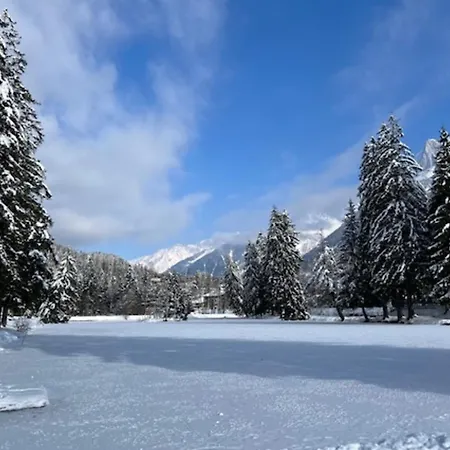 Апартаменти A Lovely Flat With Parking And Views Of Mont Blanc Шамоні