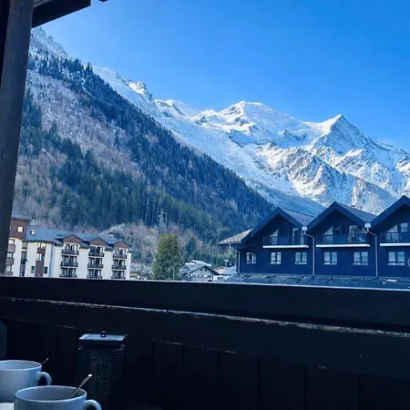 Joli apt avec parking et vue Mont Blanc Appartement *