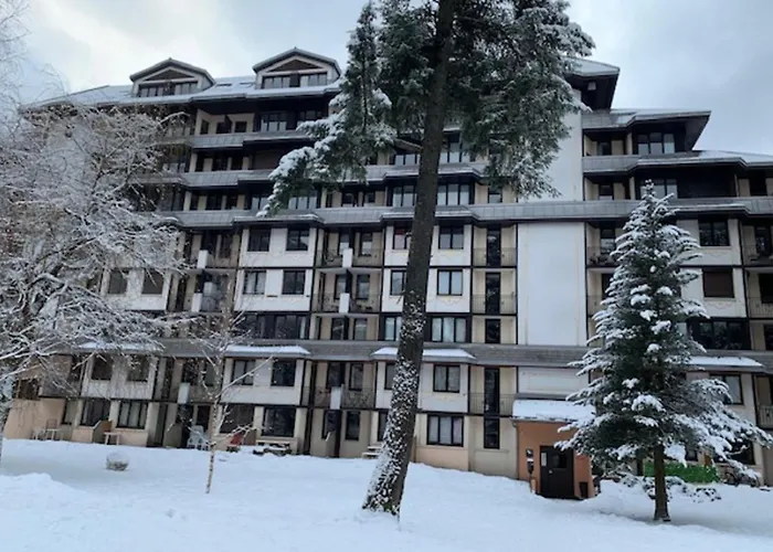 Pretty 27m With Beautiful Views Of The Mont Blanc Appartement *
