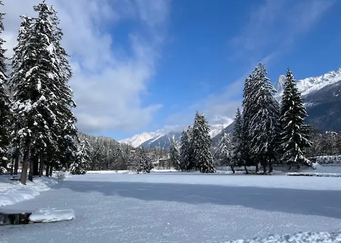 Appartement Joli apt avec parking et vue Mont Blanc Chamonix