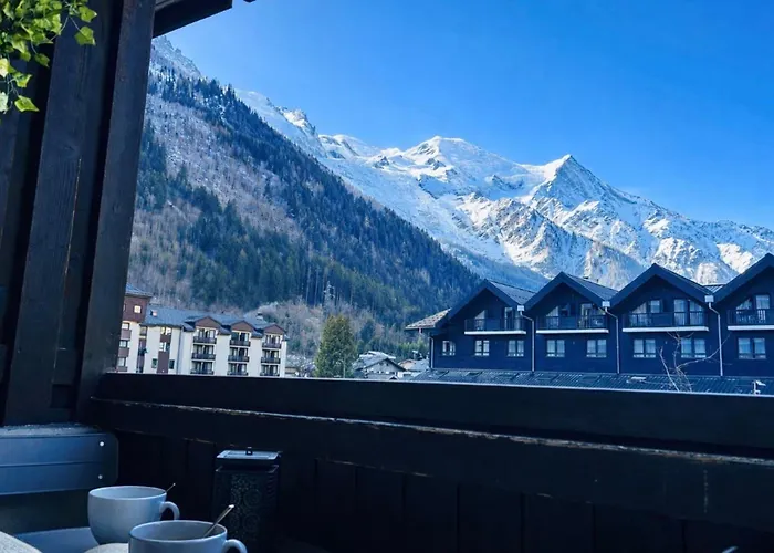 Joli apt avec parking et vue Mont Blanc Appartement *